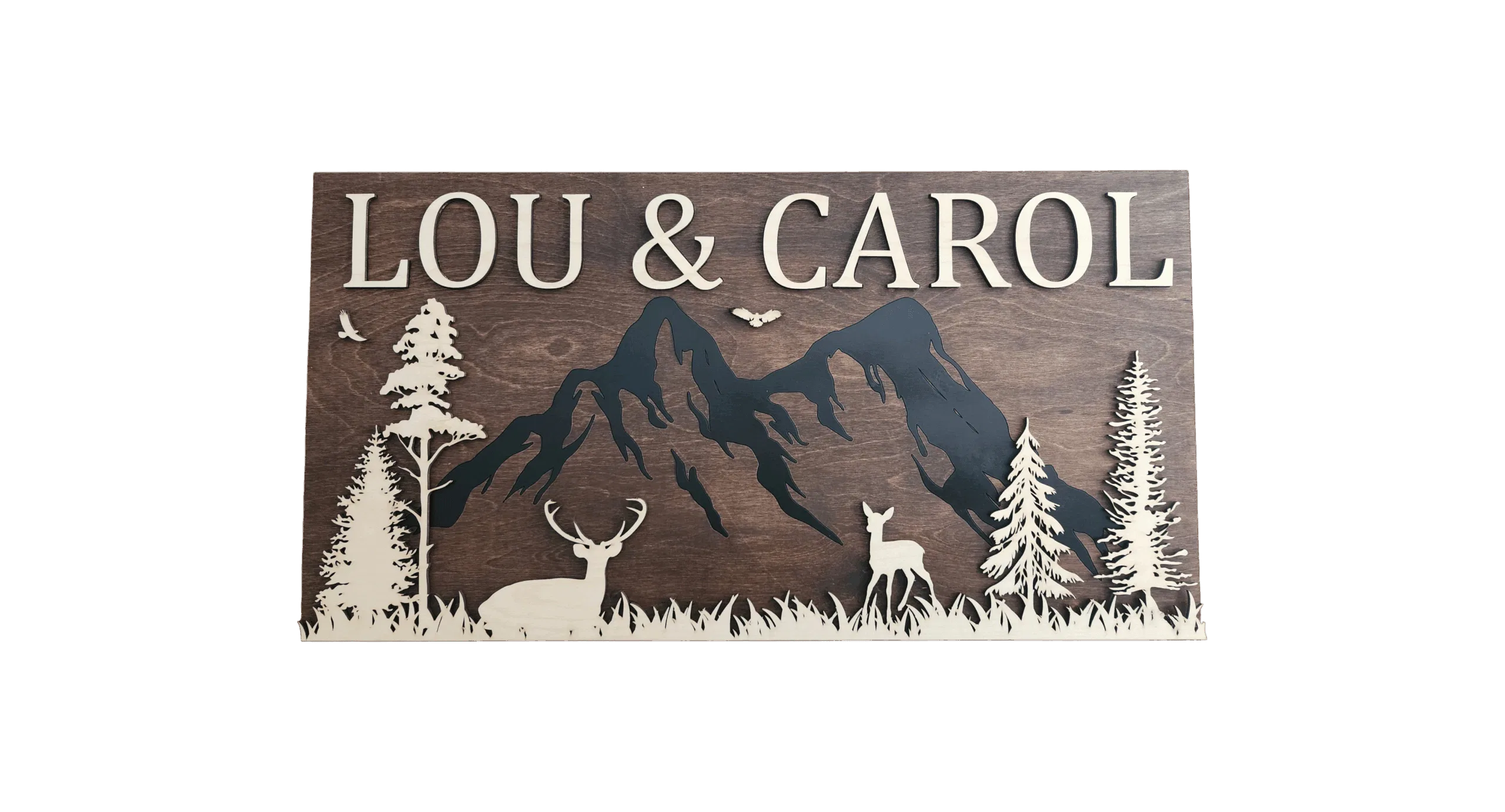 Rustic Name Sign - Personalized Outdoor Wall Decor - Custom Cabin Style Plaque - Rustic Home Decor Art - Image 2