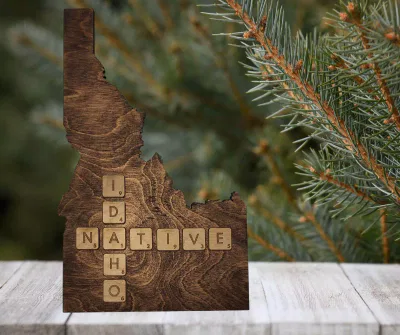 Carved Moose & Northern Lights Rustic Pine Sign - Original Des